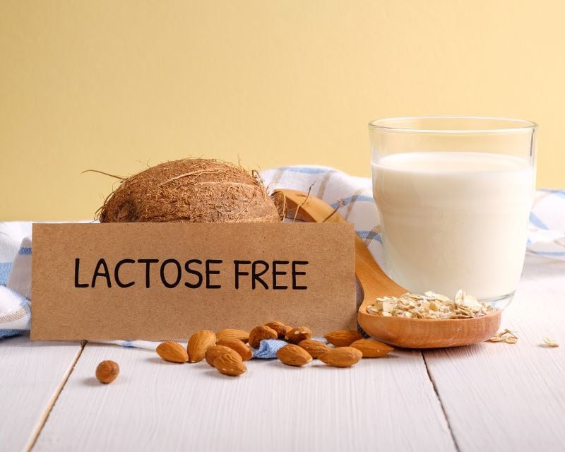 Lactose là gì