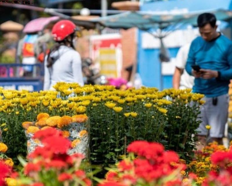 Chợ hoa Tết Thị trấn Phước Vĩnh - Phú Giáo