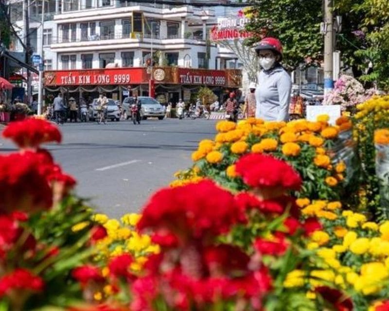 Chợ hoa xuân Thành phố Thuận An