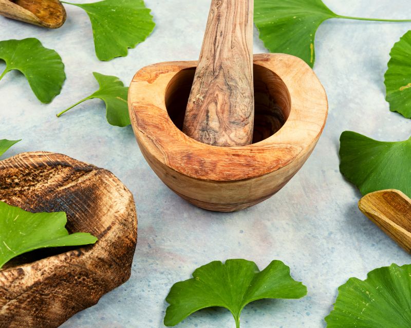10+ Điều Cần Biết Trước Khi Sử Dụng Thuốc Bổ Não Ginkgo 4 Những câu hỏi thường gặp khi sử dụng Ginkgo Biloba