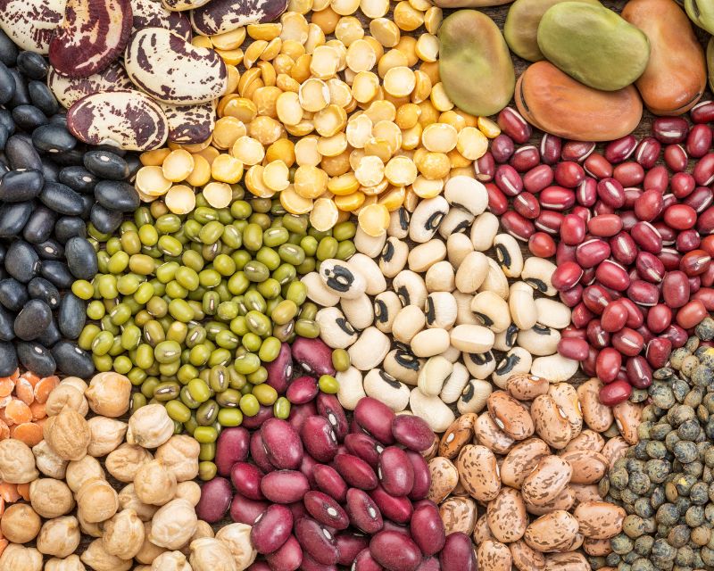 Vitamin B9 Có Trong Thực Phẩm Nào, Cần Bổ Sung Bao Nhiêu? 4 Các loại đậu chứa vitamin B9