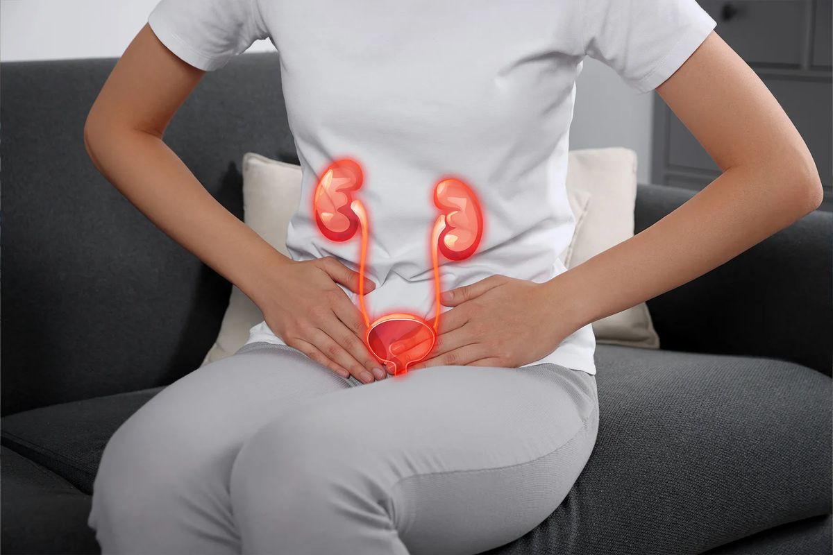 6 Loại Thuốc Bổ Thận – Hỗ Trợ Tăng Cường Chức Năng Thận, Cải Thiện Giấc Ngủ
